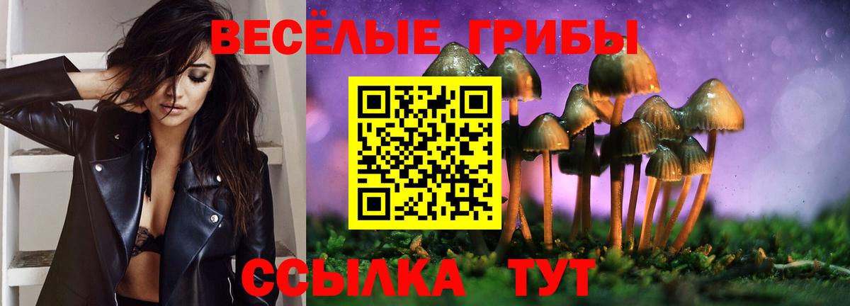 Псилоцибиновые грибы мицелий Ноябрьск